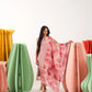 Manjari Pastel Pink Straight Suit Set with Shimmer tissue silk Dupatta